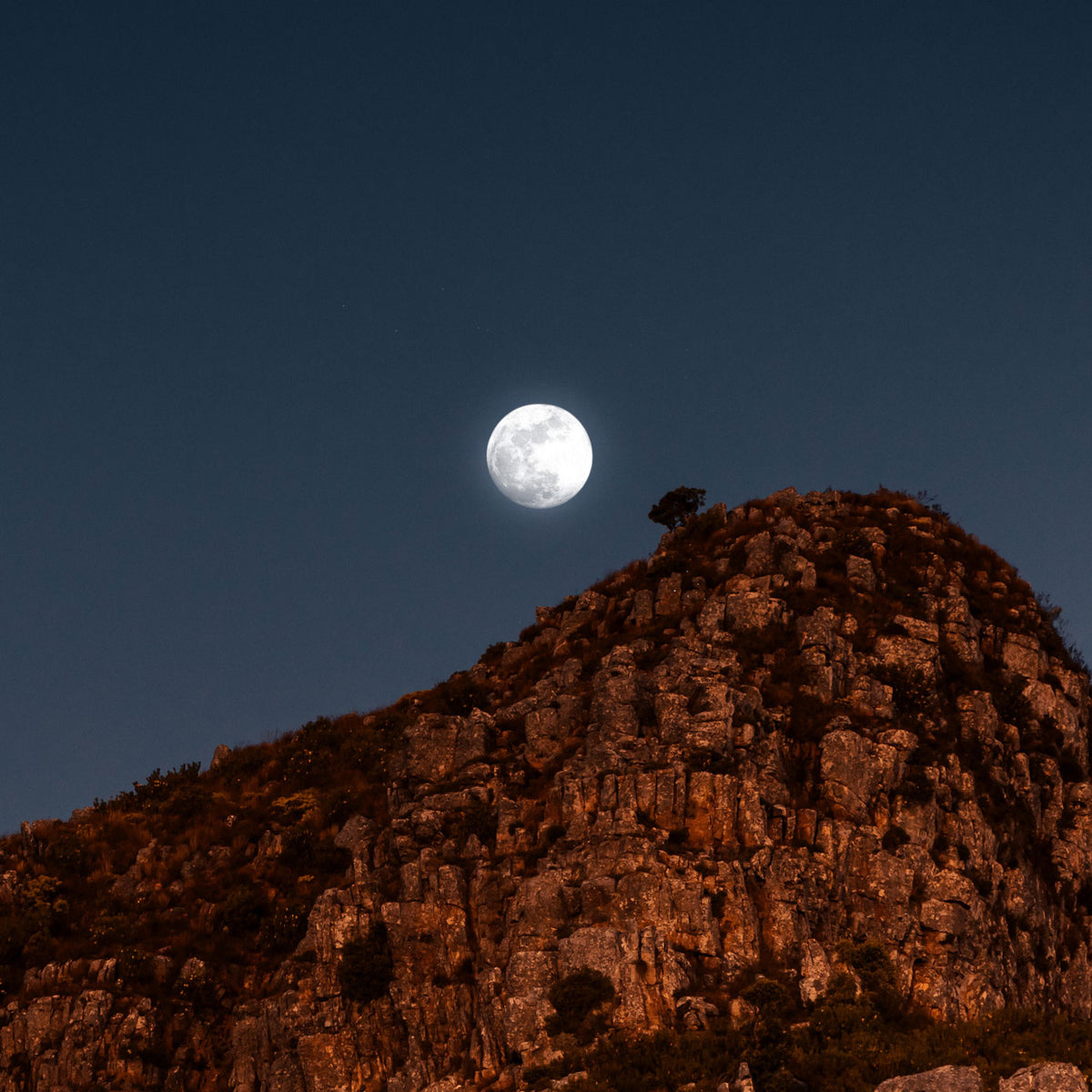 Ecureuil signification spirituelle – Rose La Lune
