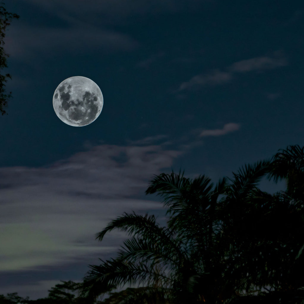 Pleine Lune Octobre 2023 : Transformer les rêves en réalité avec le Taureau ♉️