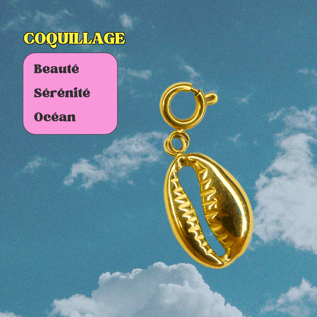 Charm ✦ Coquillage Cypra