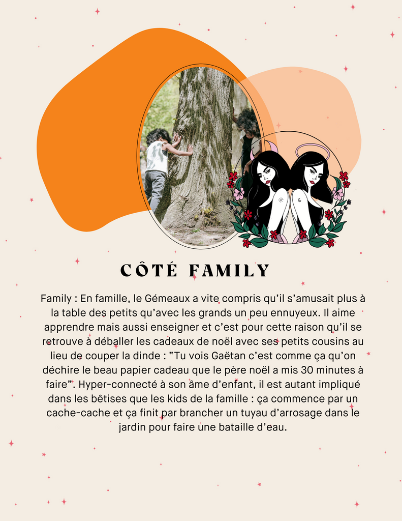 Guide de survie du Gémeaux