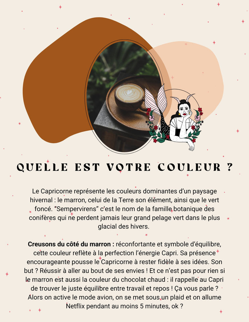 Ebook Astrologie : l'énergie de la couleur du Capricorne