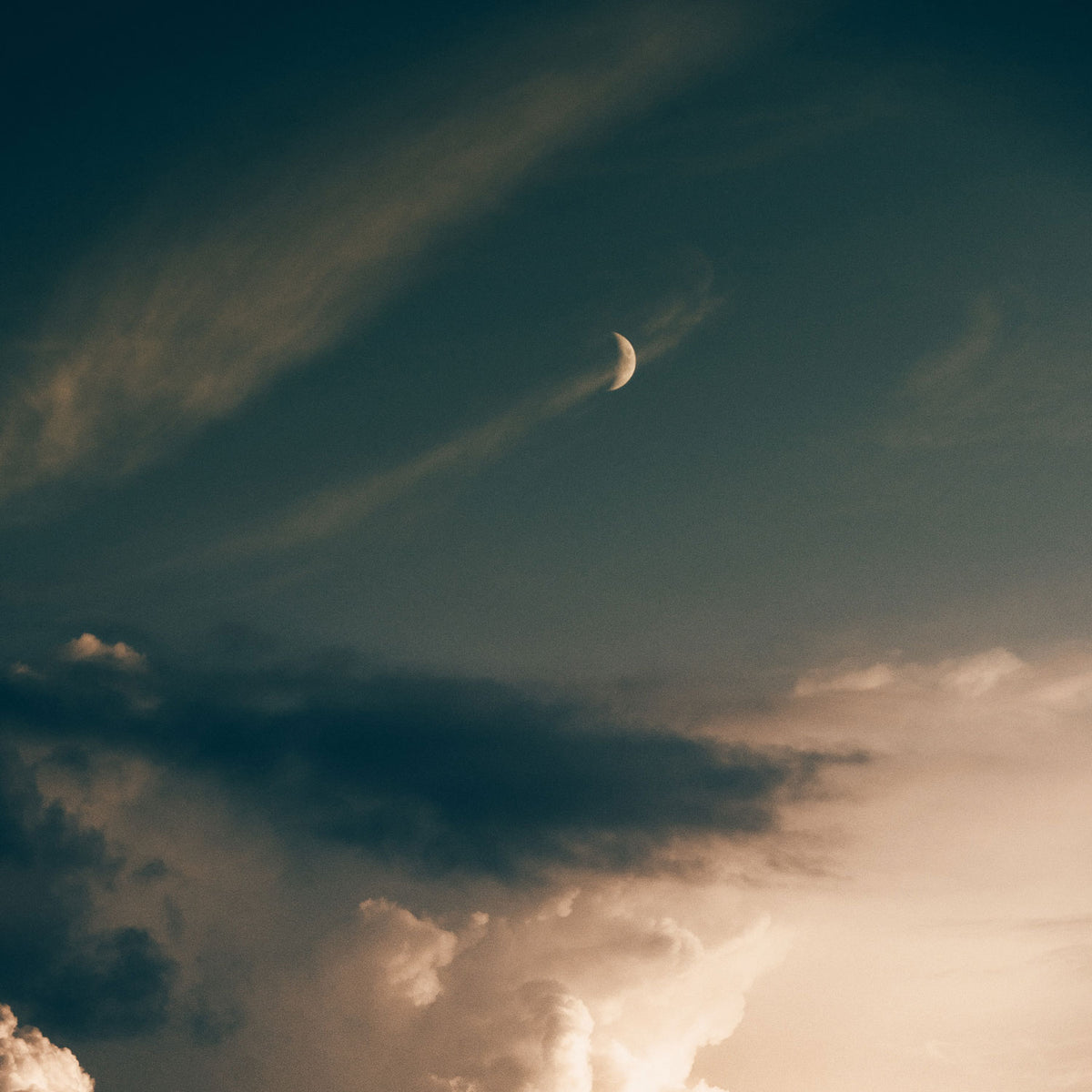Nouvelle Lune du 30 avril en Taureau ♉️