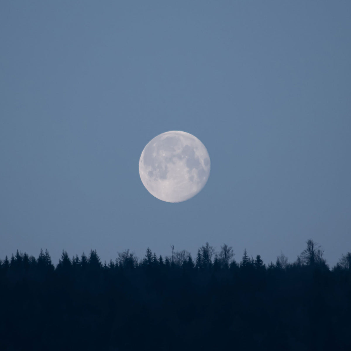 Pleine Lune de décembre en Cancer : de l'amour pour clôturer 2023