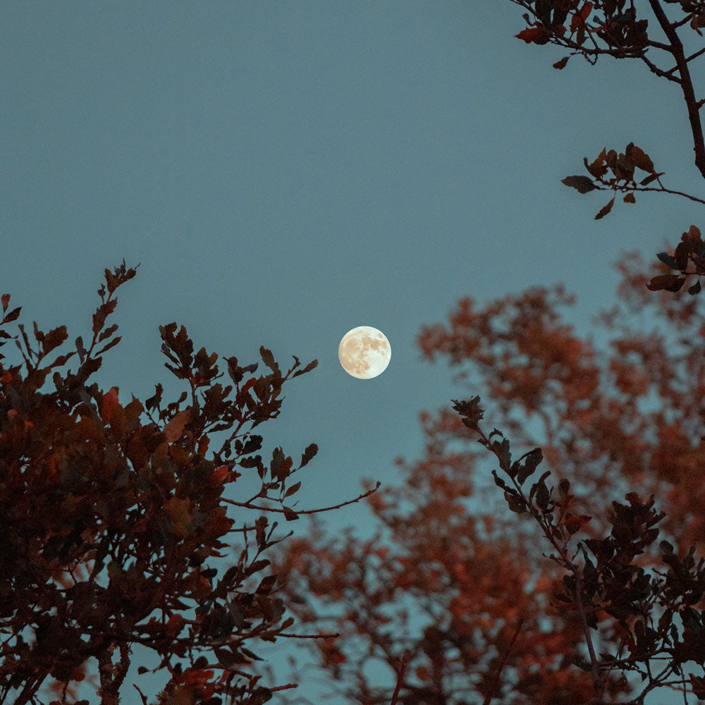 Pleine Lune en Scorpion