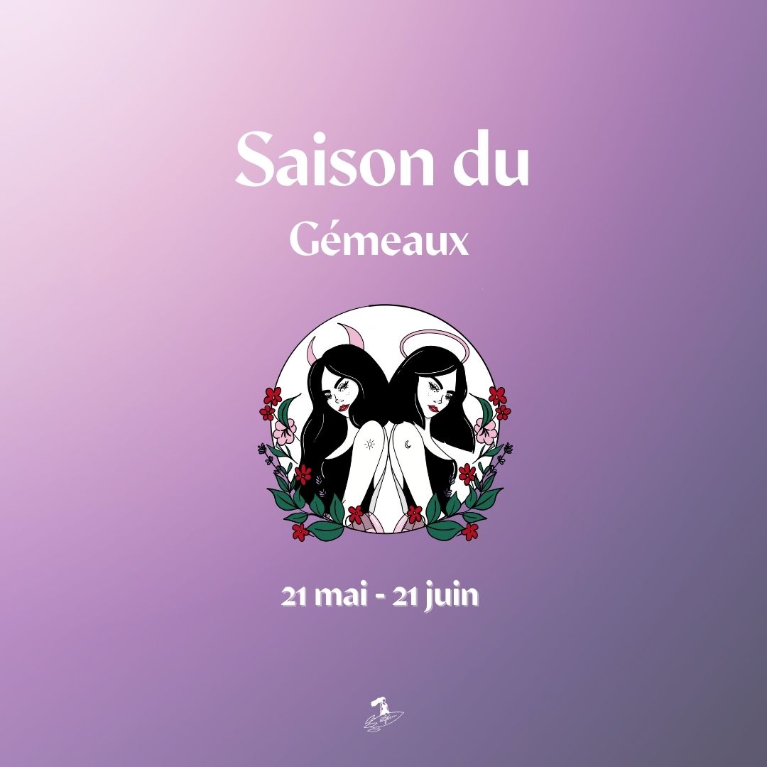 Bienvenue dans la saison du Gémeaux ♊️