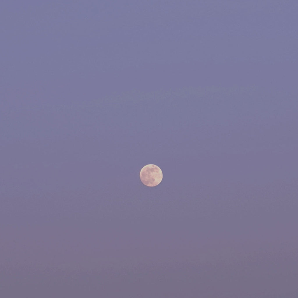 Image d'une Pleine Lune