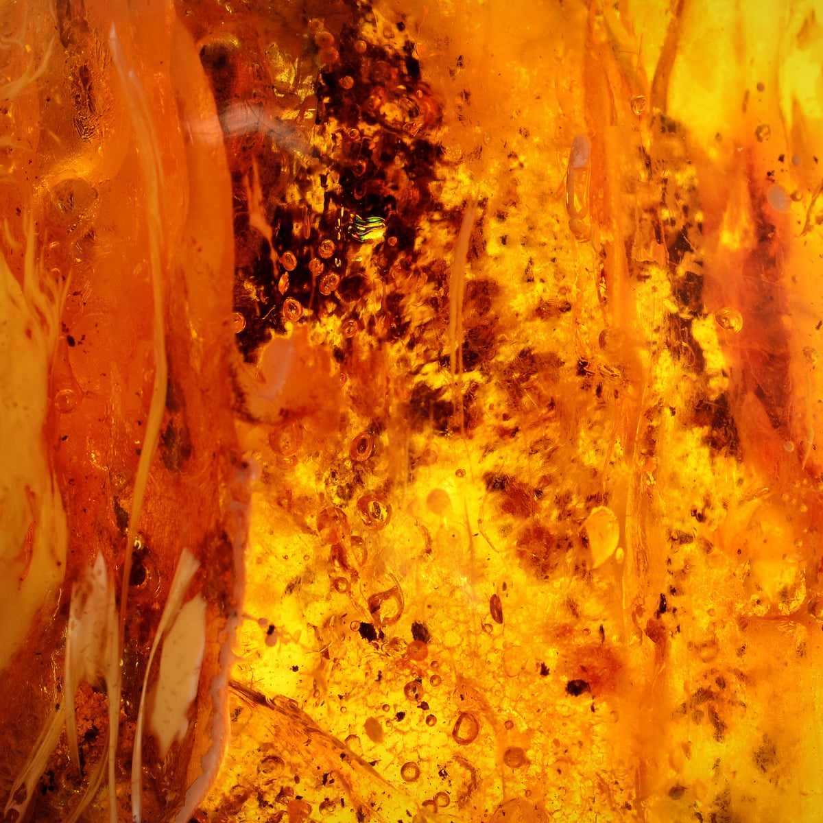 Ambre : Vertus, Couleur, Utilisations de la Pierre en Lithothérapie