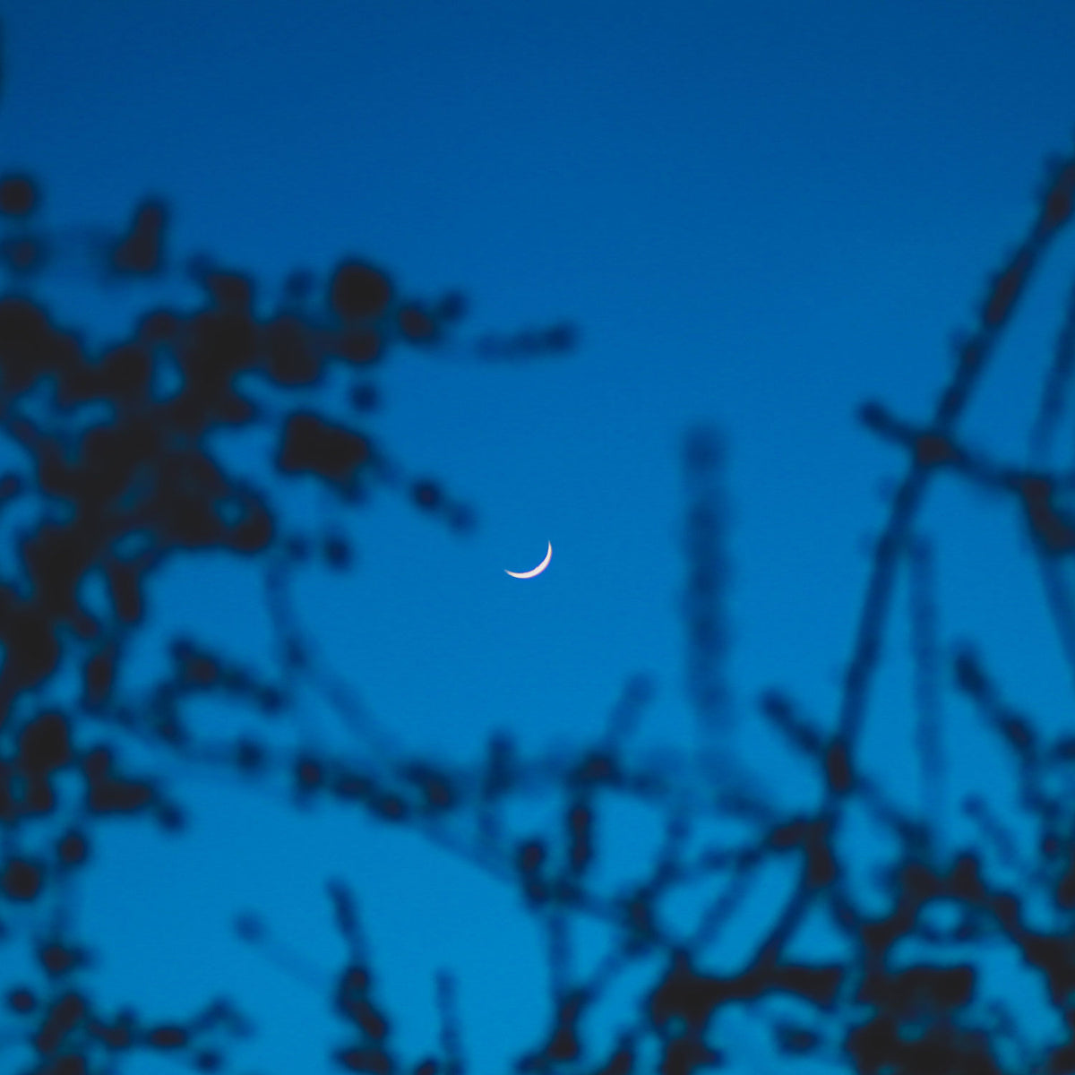 Nouvelle Lune Décembre : Prêt pour l'Aventure avec le Sagittaire ? ♐️